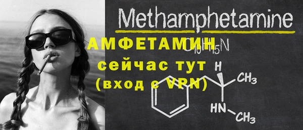 прущие грибы Елабуга