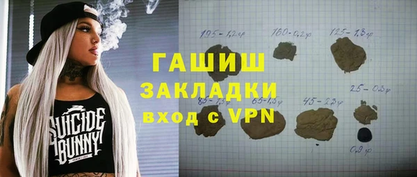 прущие грибы Елабуга