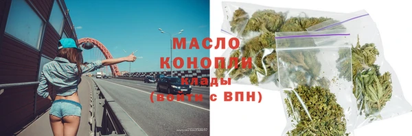 прущие грибы Елабуга