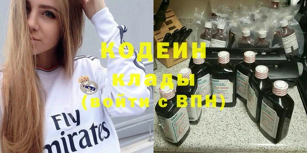 тгк Елизово