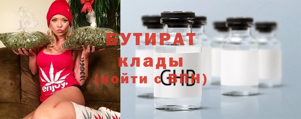 прущие грибы Елабуга