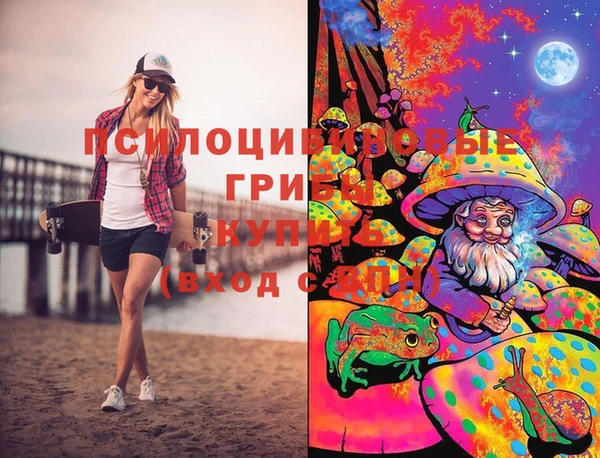 тгк Елизово