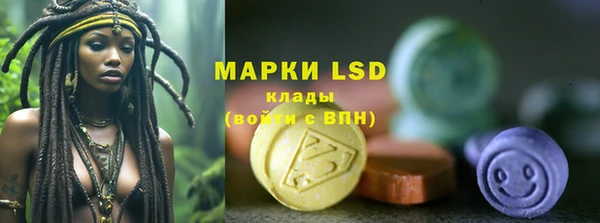 прущие грибы Елабуга