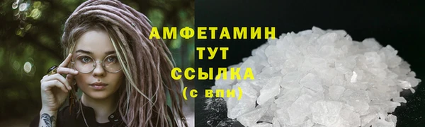 прущие грибы Елабуга