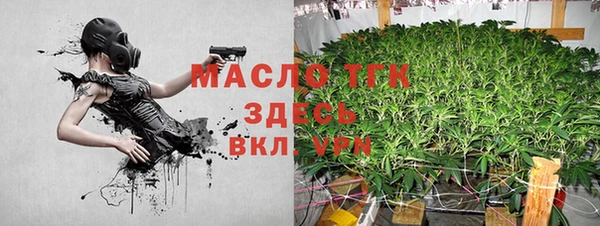прущие грибы Елабуга