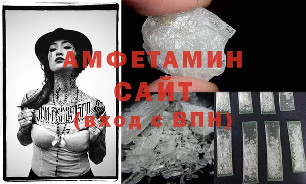 прущие грибы Елабуга