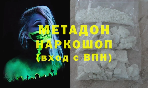 прущие грибы Елабуга